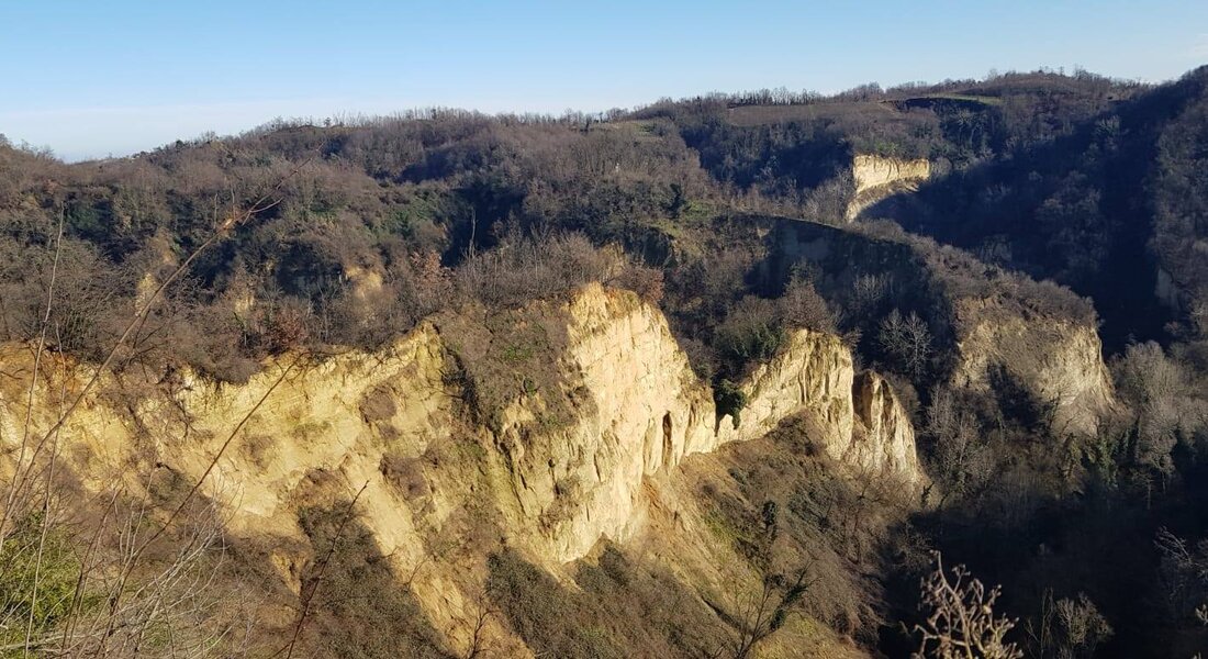Le Sentier du Châtaignier