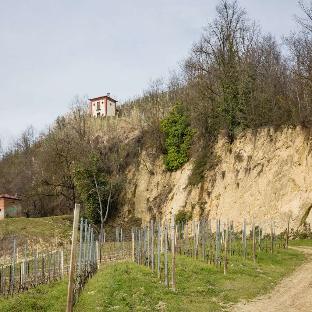 Sentiero Del Castagno  Cibot Vigna