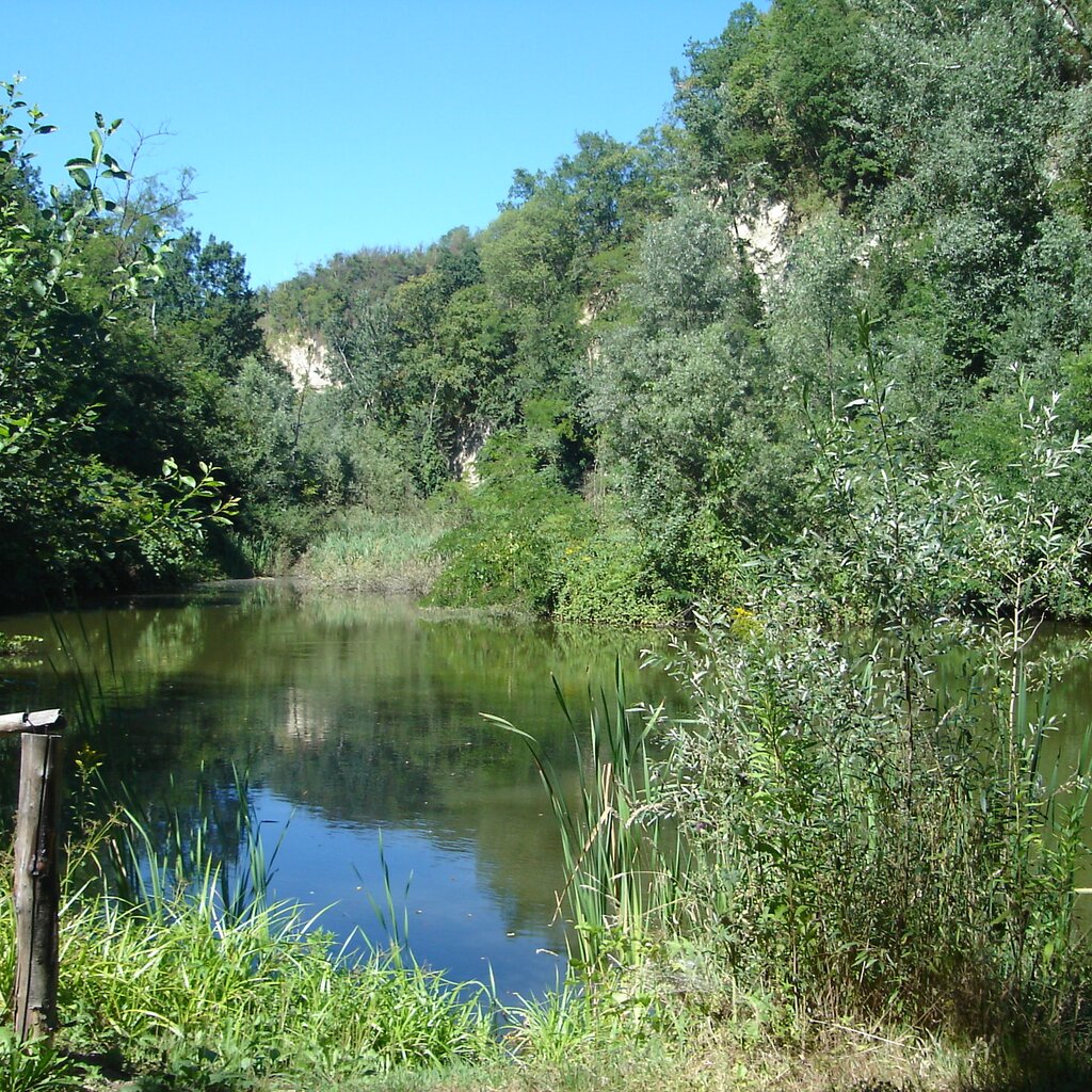 Biotopo Delle Rocche. Olga Scarsi