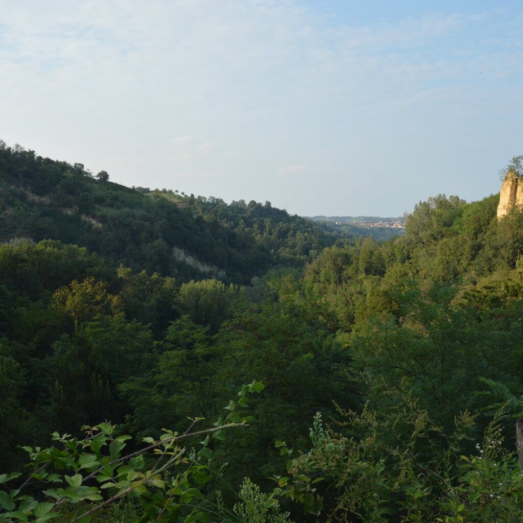 Dentoni Rocche S Stefano 2