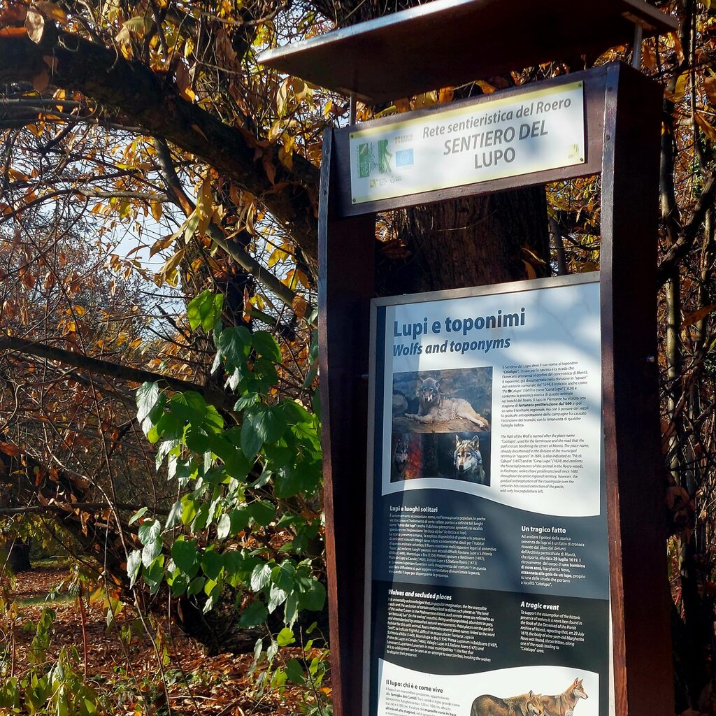Sentiero Lupo 2