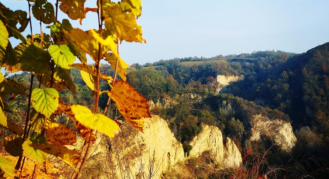 Le Sentier du Châtaignier