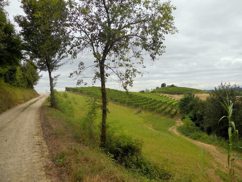 Itinerary - The Badger Path - Roero