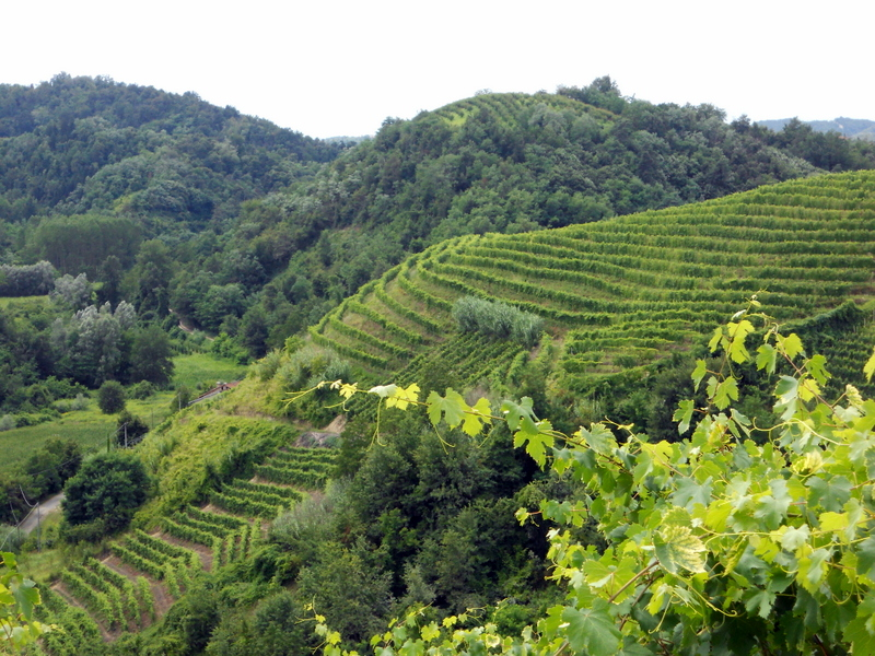 Itinerary - The Badger Path - Roero