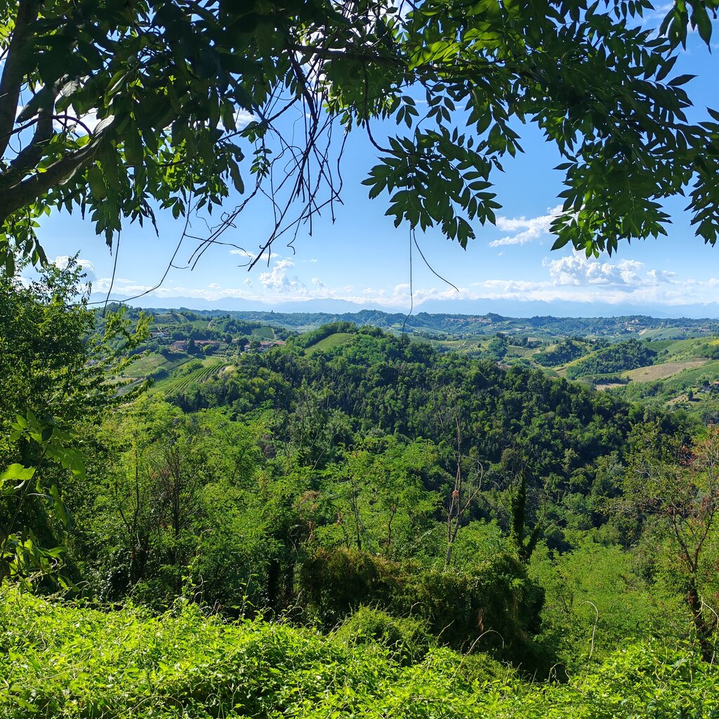 Itinerary - The Badger Path - Roero