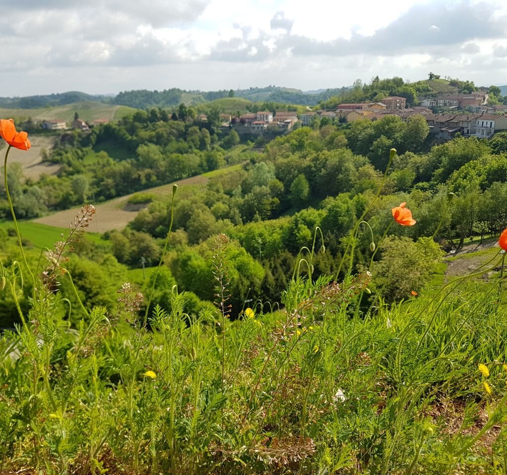 Sentiero Del Trifolao3 Credits TerreAlteEscursioni