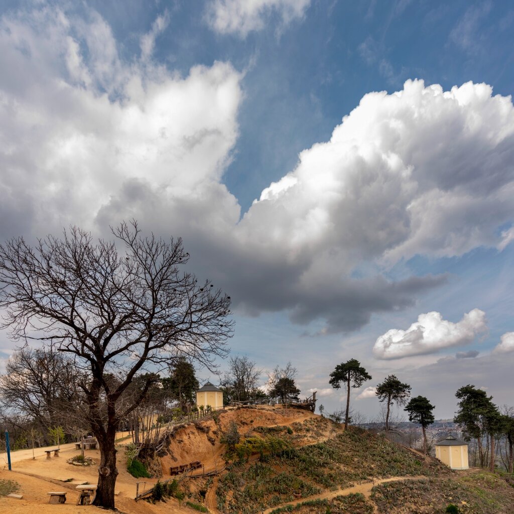 Santuario Piloni TinoGerbaldo 11