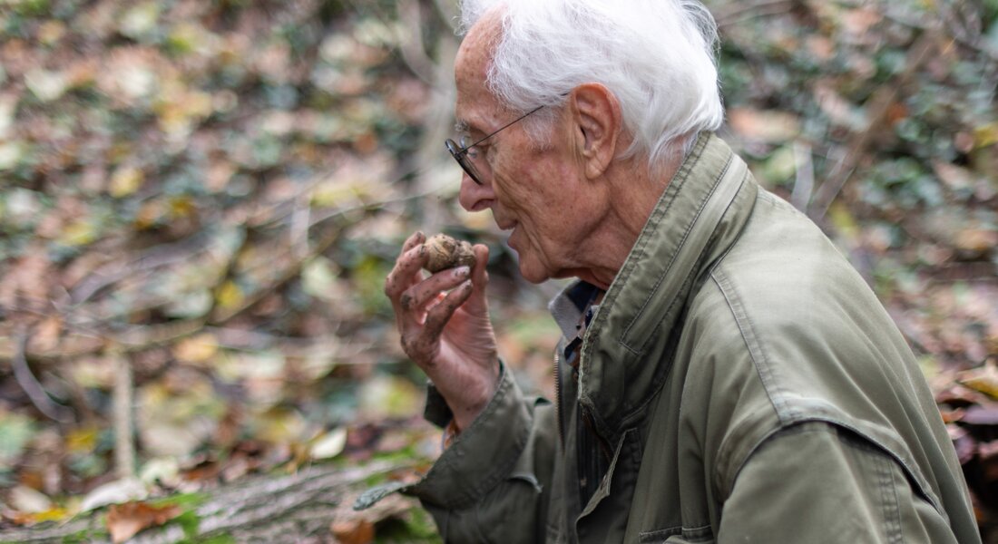 Caccia al Tartufo & Esperienza Barolo in Piemonte
