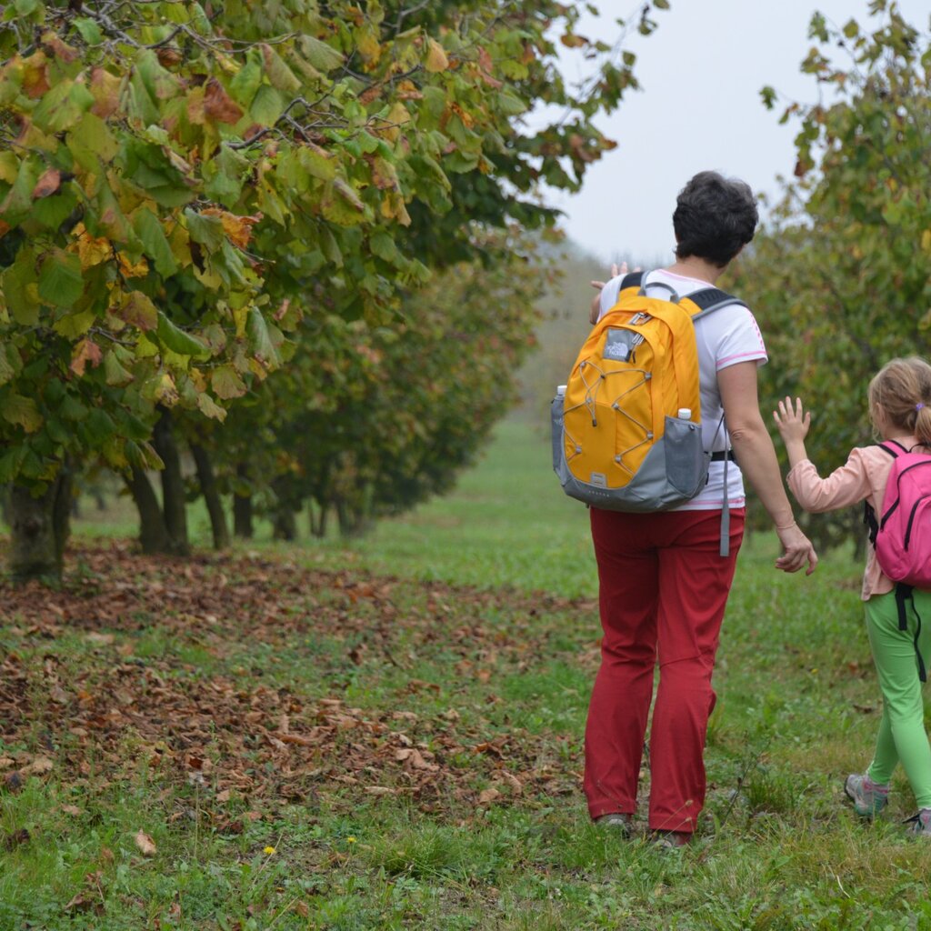 Trekking Sentiero Nocciola Castellero F. Voglino Archivio Ente Turismo LMR (14)