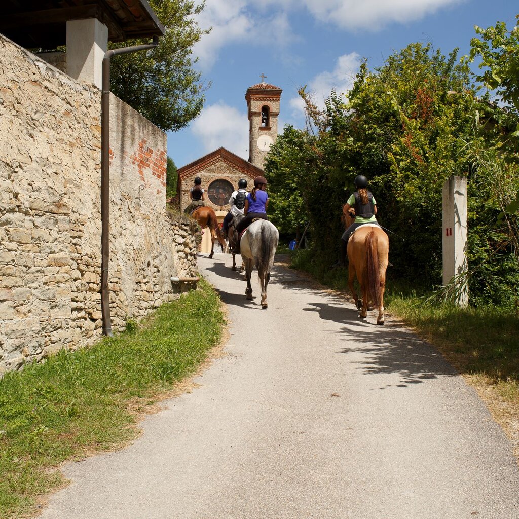 Passeggiate A Cavallo Alta Langa Can T Forget Italy Archivio Ente Turismo LMR 4