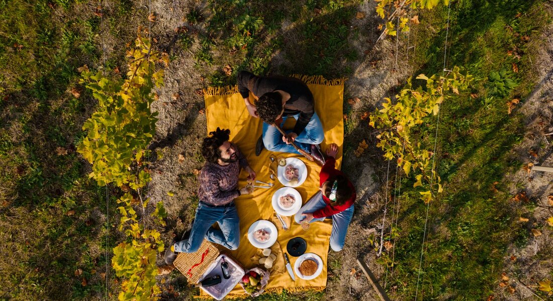 Picnic e Cene in Vigna