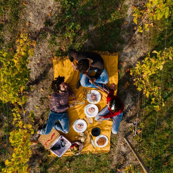 Picnic e Cene in Vigna