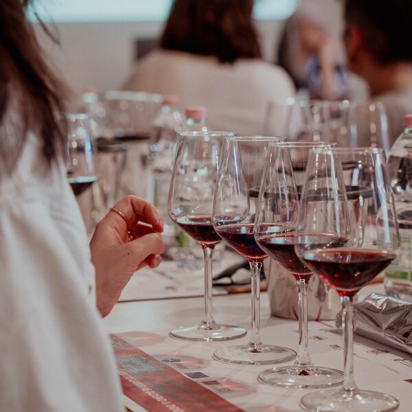 Six seminars exploring the great wines of Langhe, Roero and Doglianese