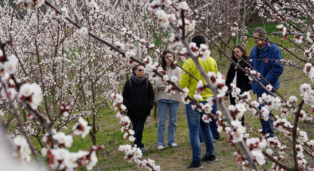 À la découverte du verger – Slow Food Travel Roero