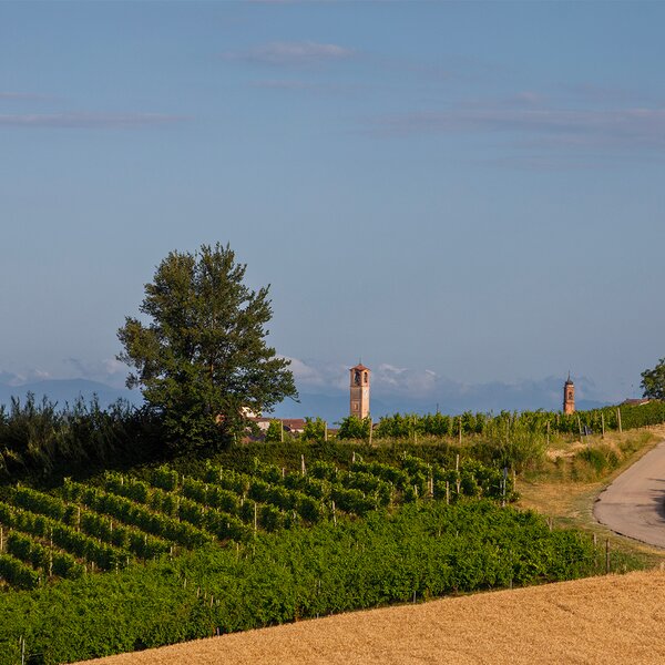 Tour in the Land of Ruché Wine