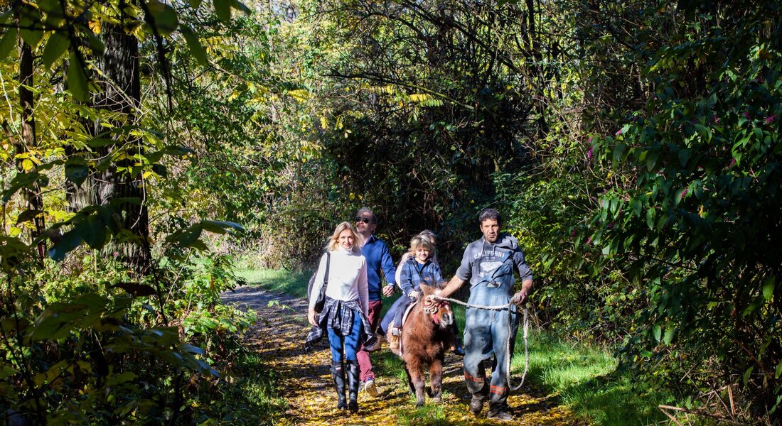 Trekking con gli Asinelli