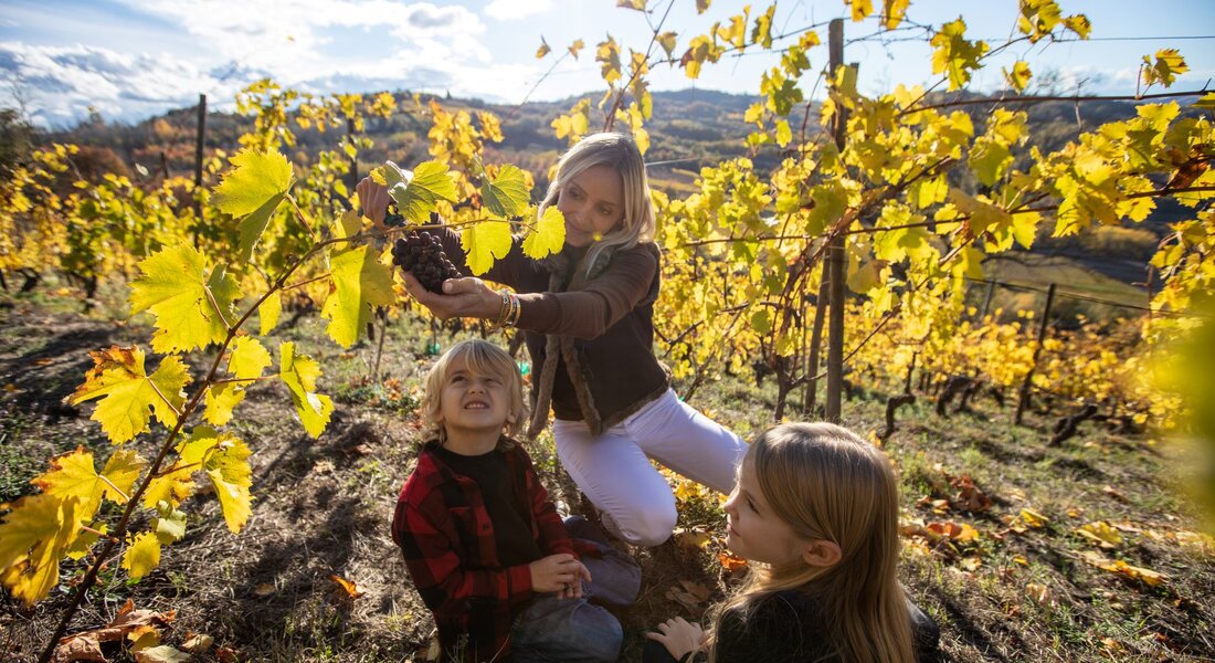 A Children’s Harvest