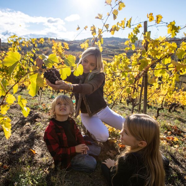 Weinlese für Kinder