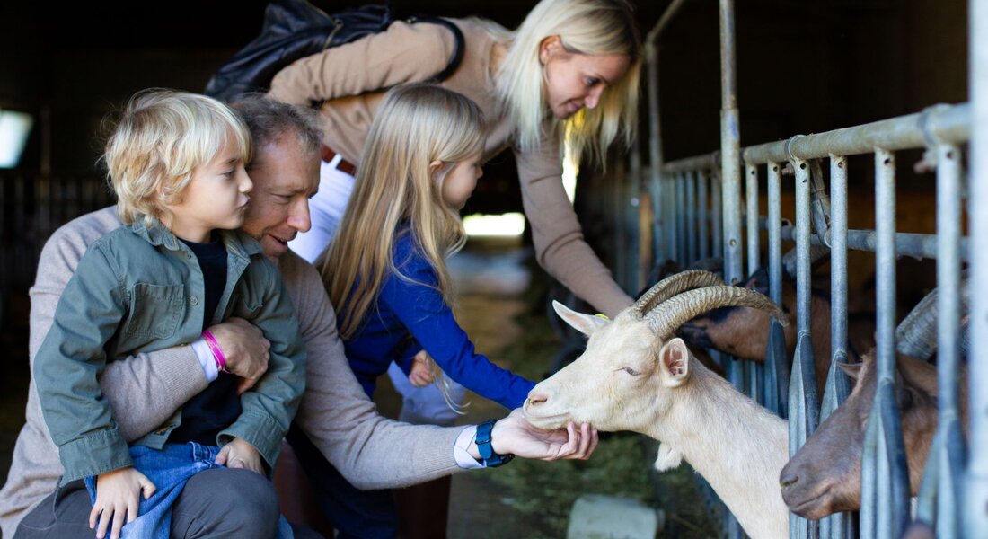 Visites aux Producteurs