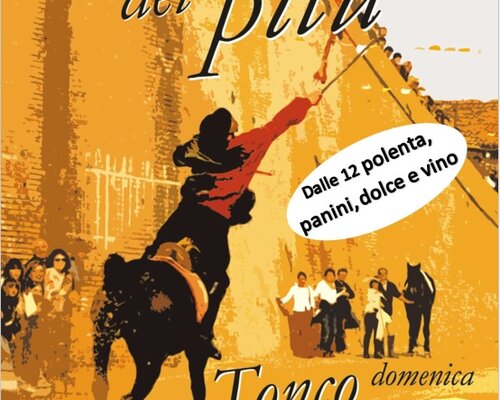Giostra del Pitu - Tonco