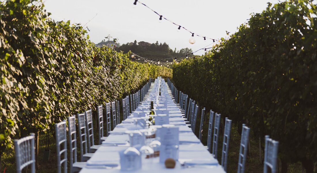 Sotto il cielo del Roero - Social eating tra i filari - Canale