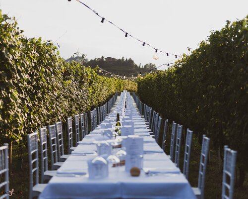 Sotto il cielo del Roero - Social eating tra i filari - Canale