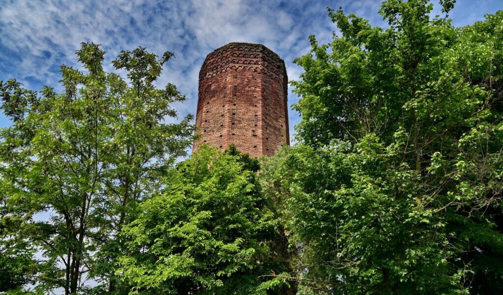 Visit of the Tower - Corneliano d'Alba