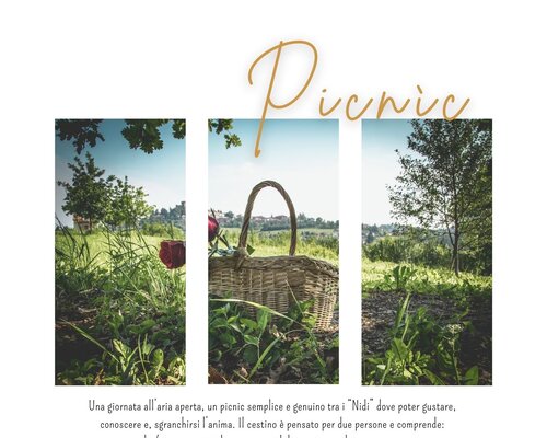 PicNic ai Nidi - Vinchio