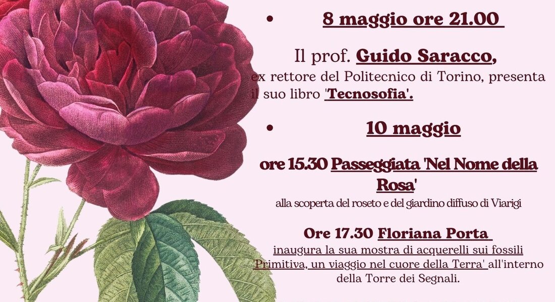 Rosso di Rose - Viarigi