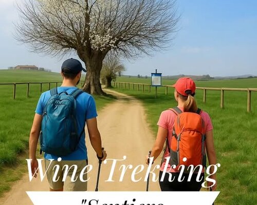 Wine Trekking sul sentiero del Malvasia - Casorzo (AT)