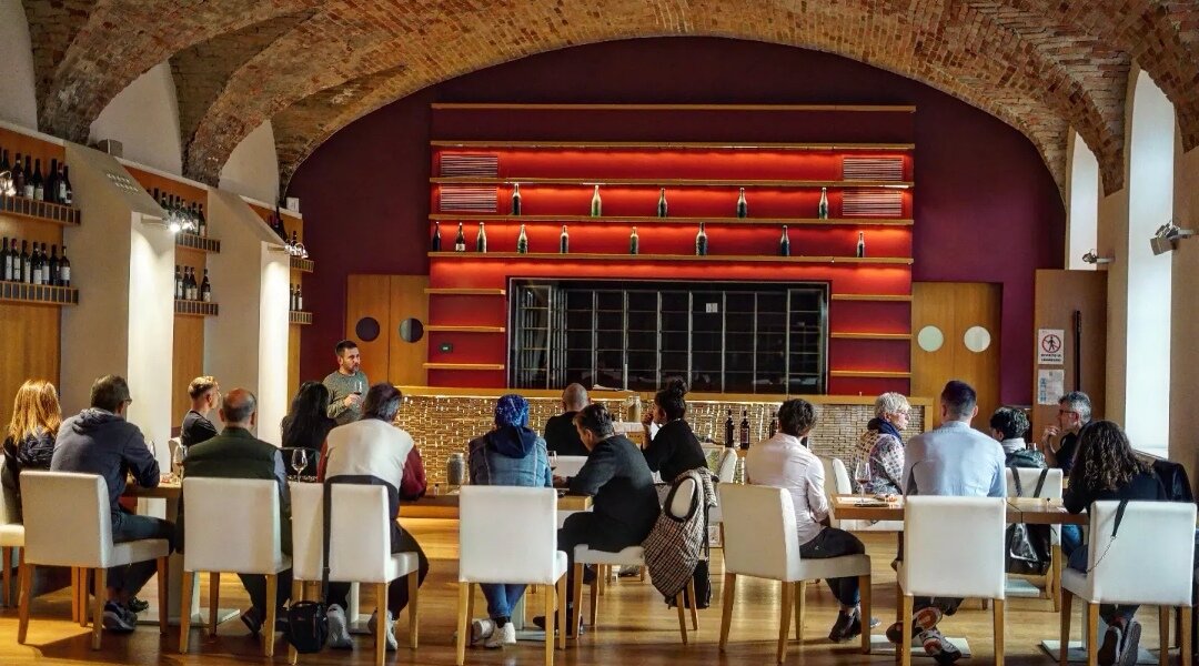 Wine Experience - Barolo