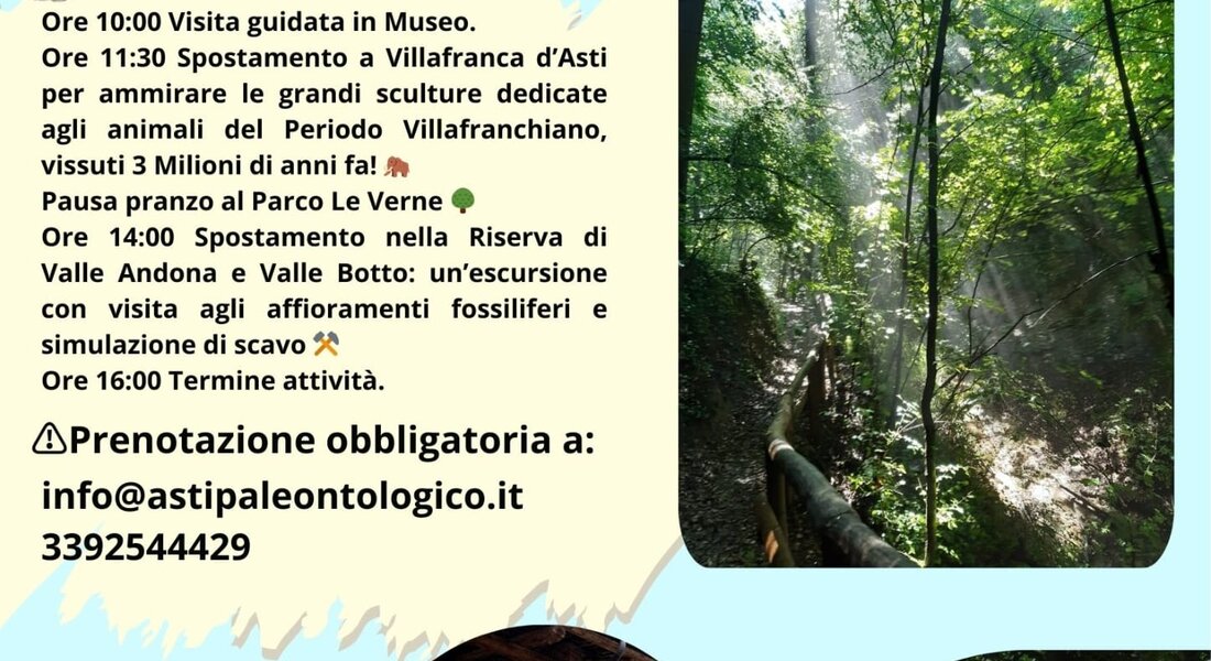 "Balene, conchiglie e mastodonti - Tra Paleontologia e arte" - Asti