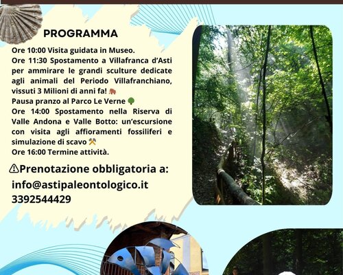 "Balene, conchiglie e mastodonti - Tra Paleontologia e arte" - Asti