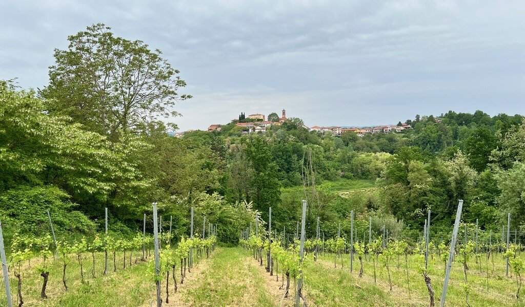 Scopri Soglio - Soglio (AT)
