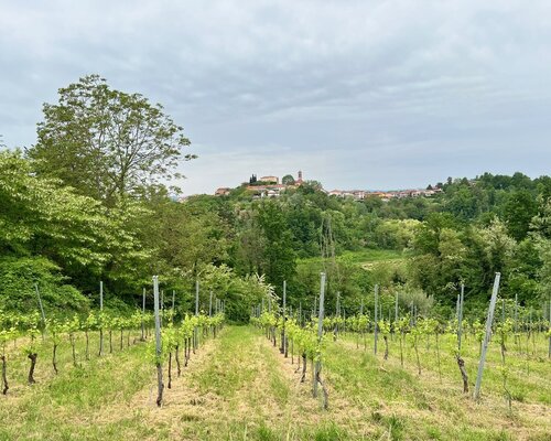 Scopri Soglio - Soglio (AT)