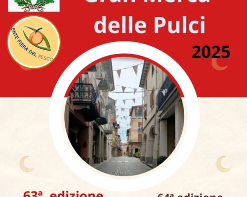 Gran Merca' delle Pulci - Canale