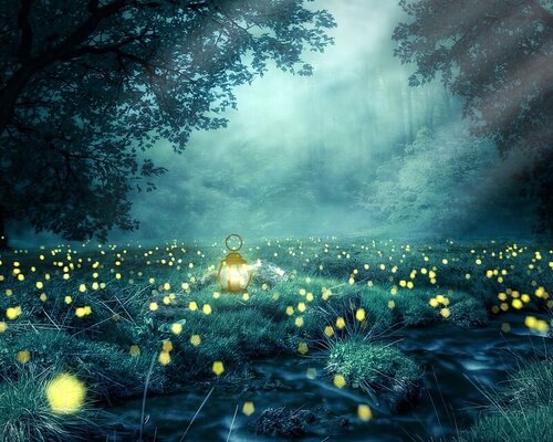 A summer evening on the Trail of Lilies and Fireflies - Borgomale (CN)
