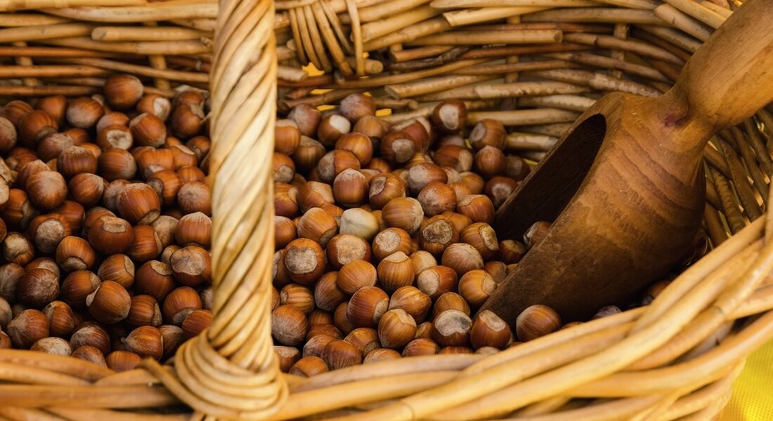 166^ Fiera della Nocciola - Castagnole delle Lanze