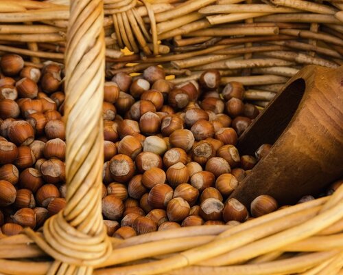 166^ Fiera della Nocciola - Castagnole delle Lanze