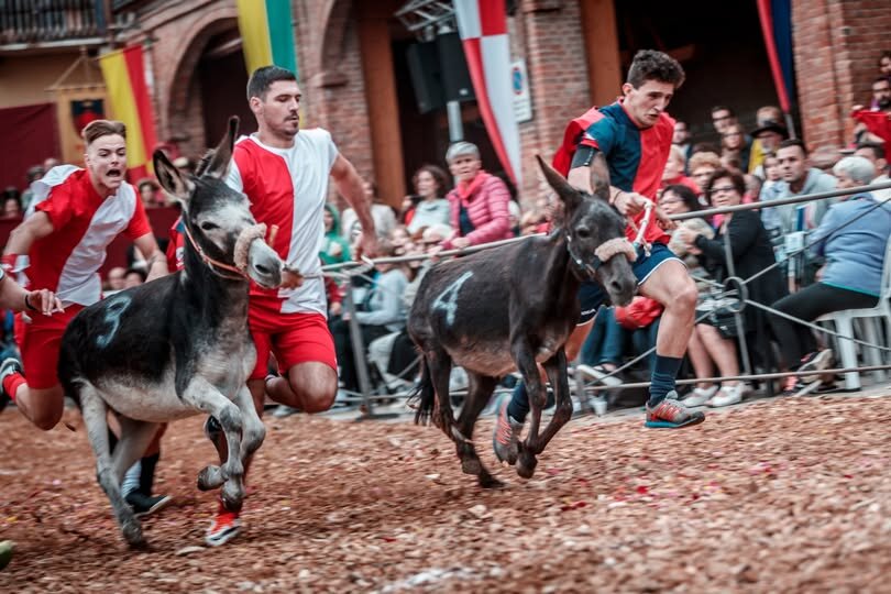 Palio Degli Asini Cocconato