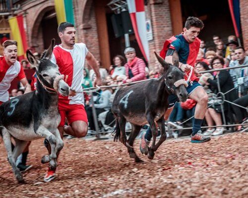 Palio Degli Asini Cocconato