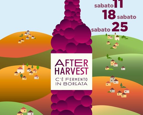 "After Harvest: c'è fermento in borgata!" - Agliano Terme (AT)