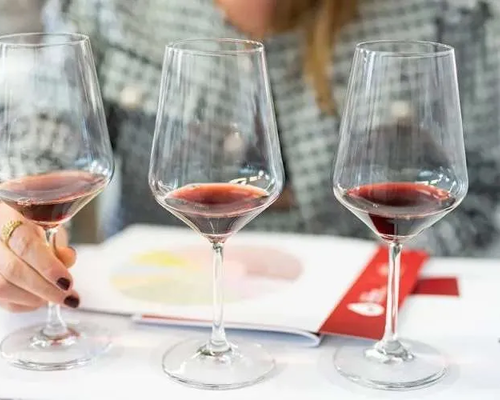 Wine Tasting Experience - Alba
