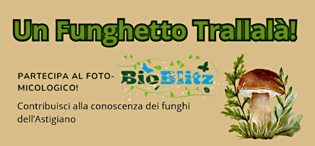 Marzo al Museo Paleontologico - Asti (AT)