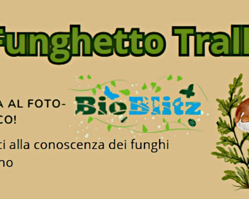 Marzo al Museo Paleontologico - Asti (AT)