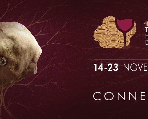 Fiera del Tartufo Bianco e dei vini del Roero - Vezza d'Alba (CN)