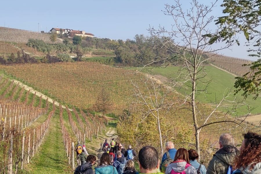 Inauguration of the Dolcetto Trail and walk - Diano d'Alba Inauguration of the Dolcetto Trail and walk - Diano d'Alba