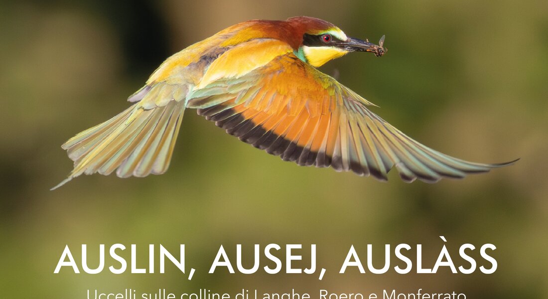 Presentazione libro "Auslin, Ausej, Auslàss” - Alba 