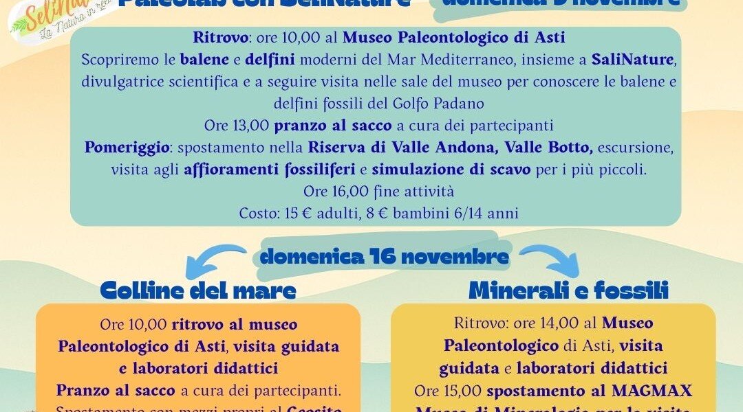 Le giornate delle famiglie al Museo dei Fossili - Asti
