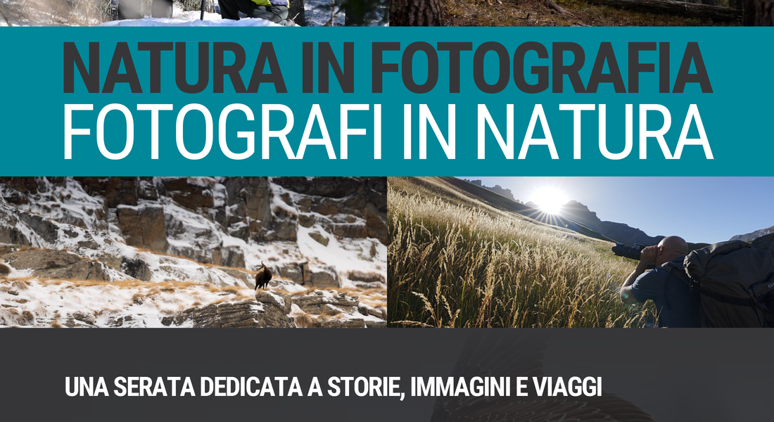  “Nature in Photography - Photographers in Nature” - Alba